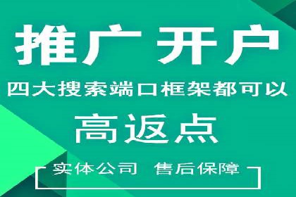 案例研究：SEM推广助力企业业绩增长